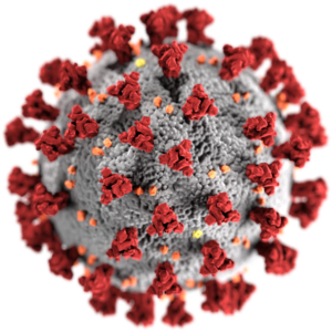 coronavirus